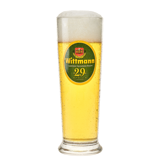Wittmann Bierglas 2.9 (0,3 ltr) - 6 Stück